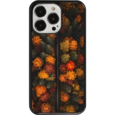 Coque iPhone 13 Pro - Autumn 26 Road in autumn
