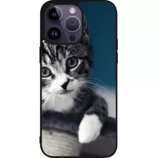 iPhone 15 Pro Max Case Hülle - Silikon schwarz Meow 23