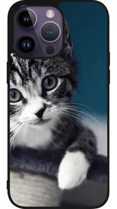 iPhone 15 Pro Max Case Hülle - Silikon schwarz Meow 23