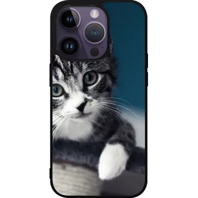 iPhone 15 Pro Case Hülle - Silikon schwarz Meow 23