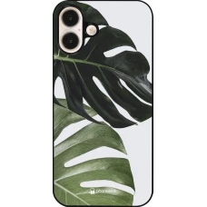 iPhone 16 Plus Case Hülle - Monstera Plant