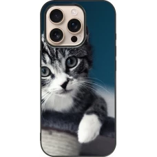 iPhone 16 Pro Case Hülle - Silikon schwarz Meow 23