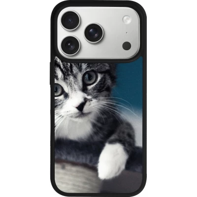iPhone 17 Pro Case Hülle - Silikon schwarz Meow 23