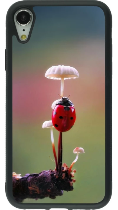 iPhone XR Case Hülle - Silikon schwarz Ladybird on a mushroom Spring 2026