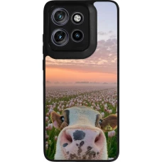Motorola Moto S50 Case Hülle - Silikon schwarz Cow with tulips Spring 2026
