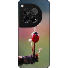 Coque OnePlus 12 - Silicone rigide noir Ladybird on a mushroom Spring 2026