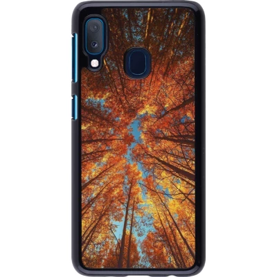 Coque Samsung Galaxy A20e - Autumn 25 Trees
