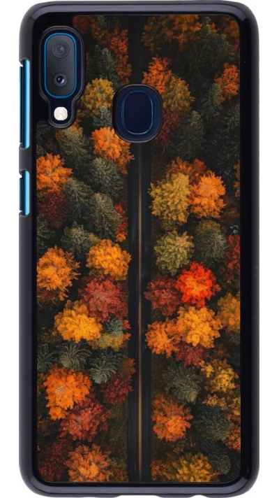 Coque Samsung Galaxy A20e - Autumn 26 Road in autumn