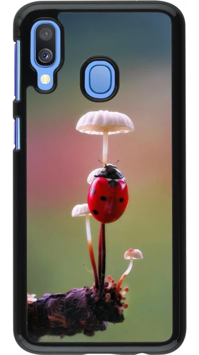 Samsung Galaxy A40 Case Hülle - Ladybird on a mushroom Spring 2026