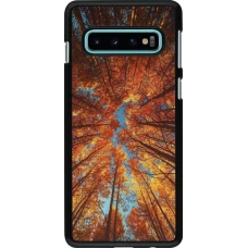 Samsung Galaxy S10 Case Hülle - Autumn 25 Trees