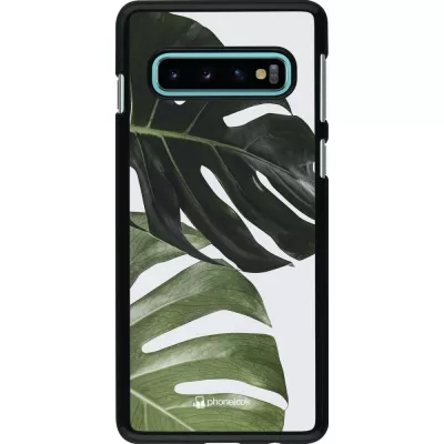 Hülle Samsung Galaxy S10 - Monstera Plant