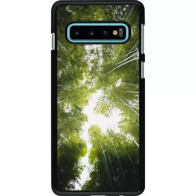 Coque Samsung Galaxy S10 - Spring 23 forest blue sky