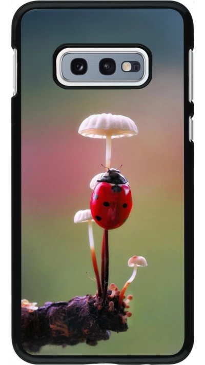 Samsung Galaxy S10e Case Hülle - Ladybird on a mushroom Spring 2026