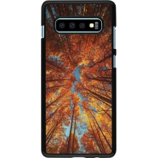 Coque Samsung Galaxy S10+ - Autumn 25 Trees