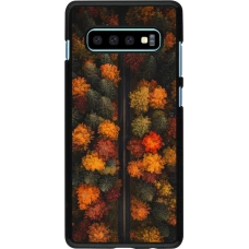 Coque Samsung Galaxy S10+ - Autumn 26 Road in autumn