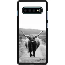 Hülle Samsung Galaxy S10+ - Highland cattle