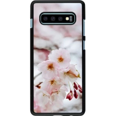 Coque Samsung Galaxy S10+ - Cherry tree Spring 2026