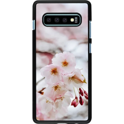 Coque Samsung Galaxy S10+ - Cherry tree Spring 2026