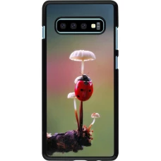 Samsung Galaxy S10+ Case Hülle - Ladybird on a mushroom Spring 2026