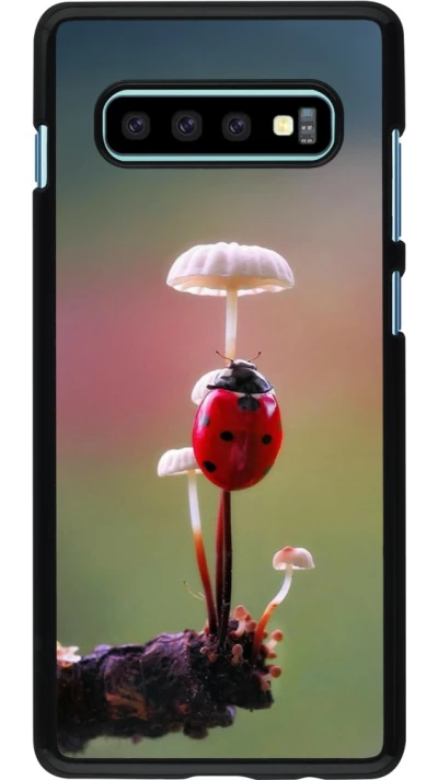 Samsung Galaxy S10+ Case Hülle - Ladybird on a mushroom Spring 2026