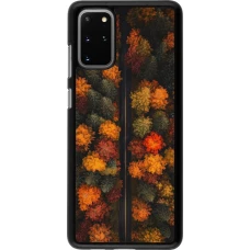 Samsung Galaxy S20+ Case Hülle - Autumn 26 Road in autumn