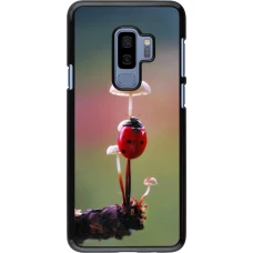Samsung Galaxy S9+ Case Hülle - Ladybird on a mushroom Spring 2026