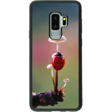 Samsung Galaxy S9+ Case Hülle - Silikon schwarz Ladybird on a mushroom Spring 2026