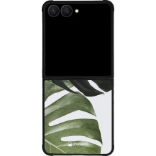 Coque Samsung Galaxy Z Flip7 - Silicone rigide noir Monstera Plant