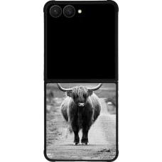 Samsung Galaxy Z Flip8 Case Hülle - Silikon schwarz Highland cattle