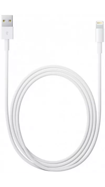 Câble de charge Lightning vers USB-A original Apple iPhone (1 m) - Blanc