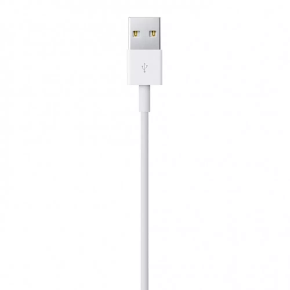 Câble de charge Lightning vers USB-A original Apple iPhone (1 m) - Blanc