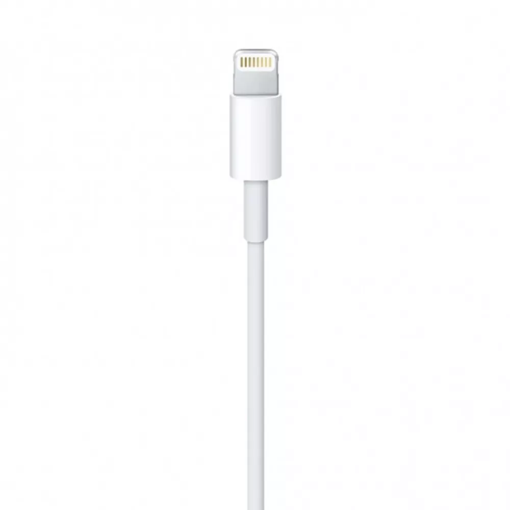 Câble de charge Lightning vers USB-A original Apple iPhone (1 m) - Blanc