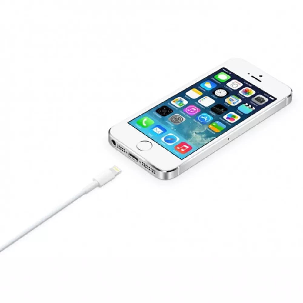 Câble de charge Lightning vers USB-A original Apple iPhone (1 m) - Blanc