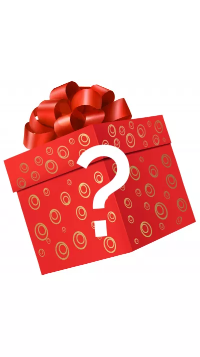 Cadeau surprise - Accessoire / gadget aléatoire
