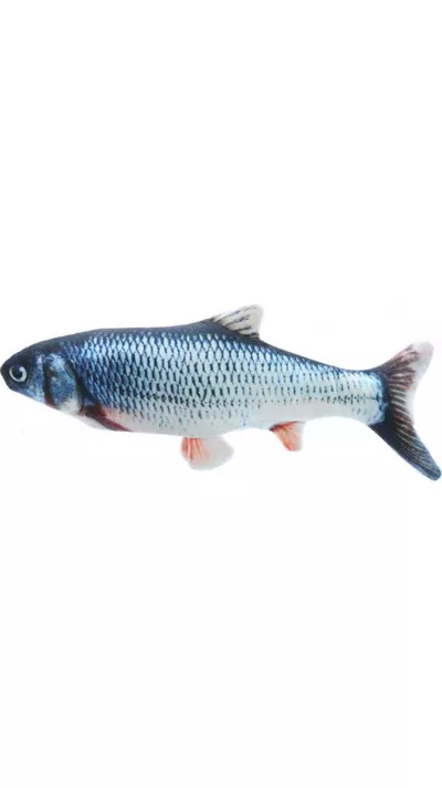 Jouet en peluche pour chats Poisson dansant - Jeu pour animaux de compagnie