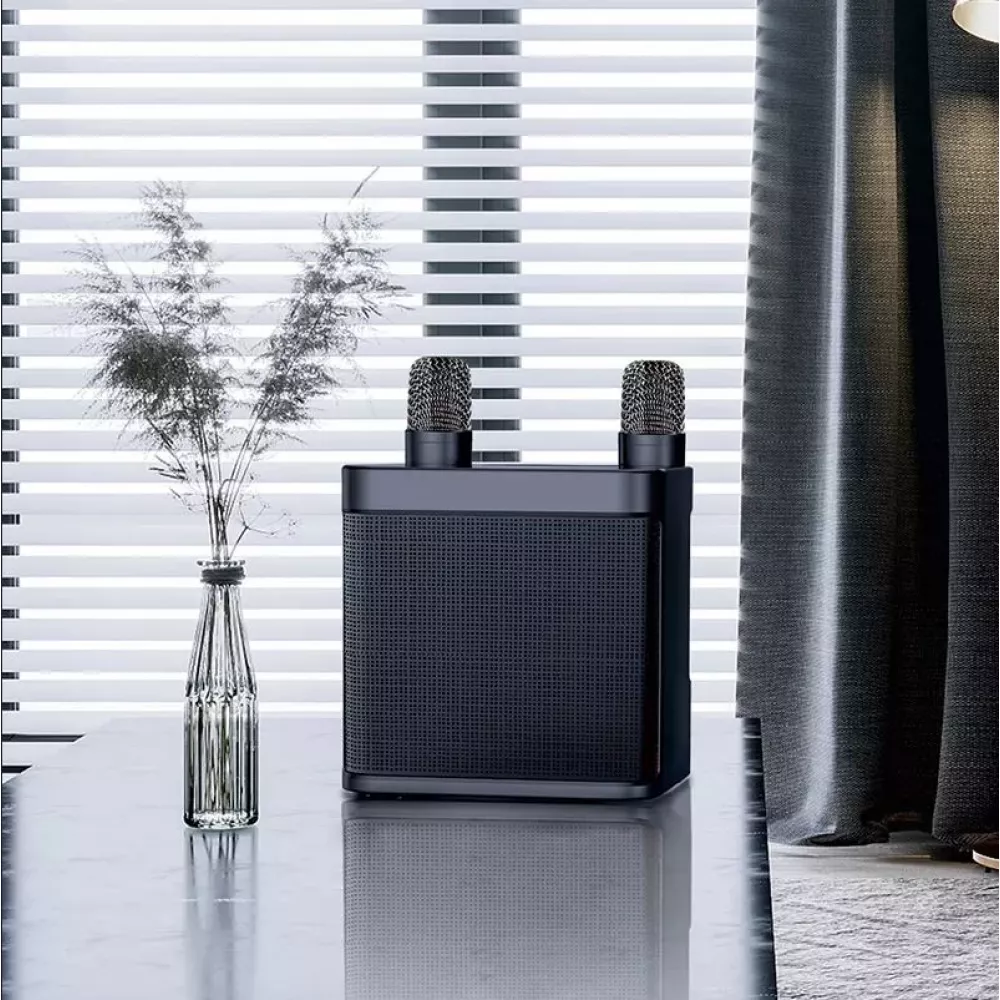 Haut-parleur enceinte karaoké YS-203 Bluetooth wireless + 2 microphones sans fil - Noir