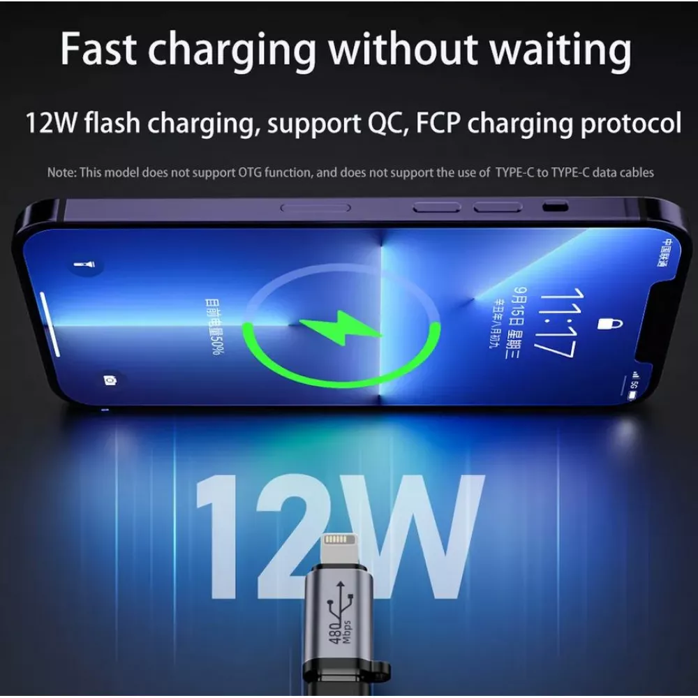 Lightning vers USB-C - Adaptateur de charge de haute qualité Connecteur Transfert de données 480Mbps Aluminium