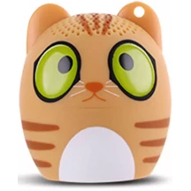Chat