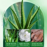 Pack de 8 masques en tissu aloe vera hydratants et raffermissants avec acide hyaluronique sans alcool