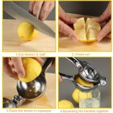 Presse agrume manuel en acier inoxydable pour citron et lime - Argent
