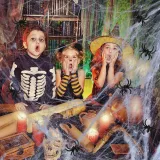 Fiktives Spinnennetz Halloween-Dekoration mit 100 Spinnen (ca. 3 Meter)