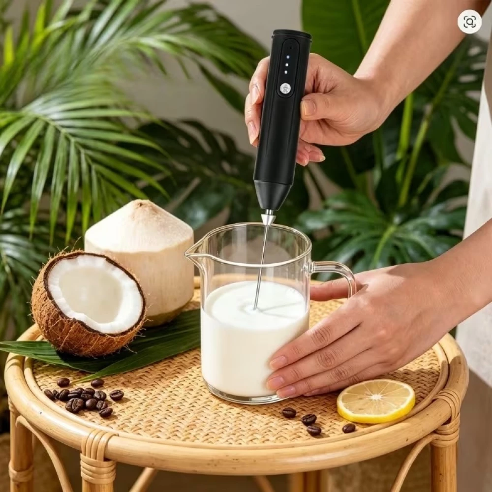 Mousseur à lait électrique portable rechargeable USB avec fouet en acier inoxydable et 3 vitesses réglables - Noir