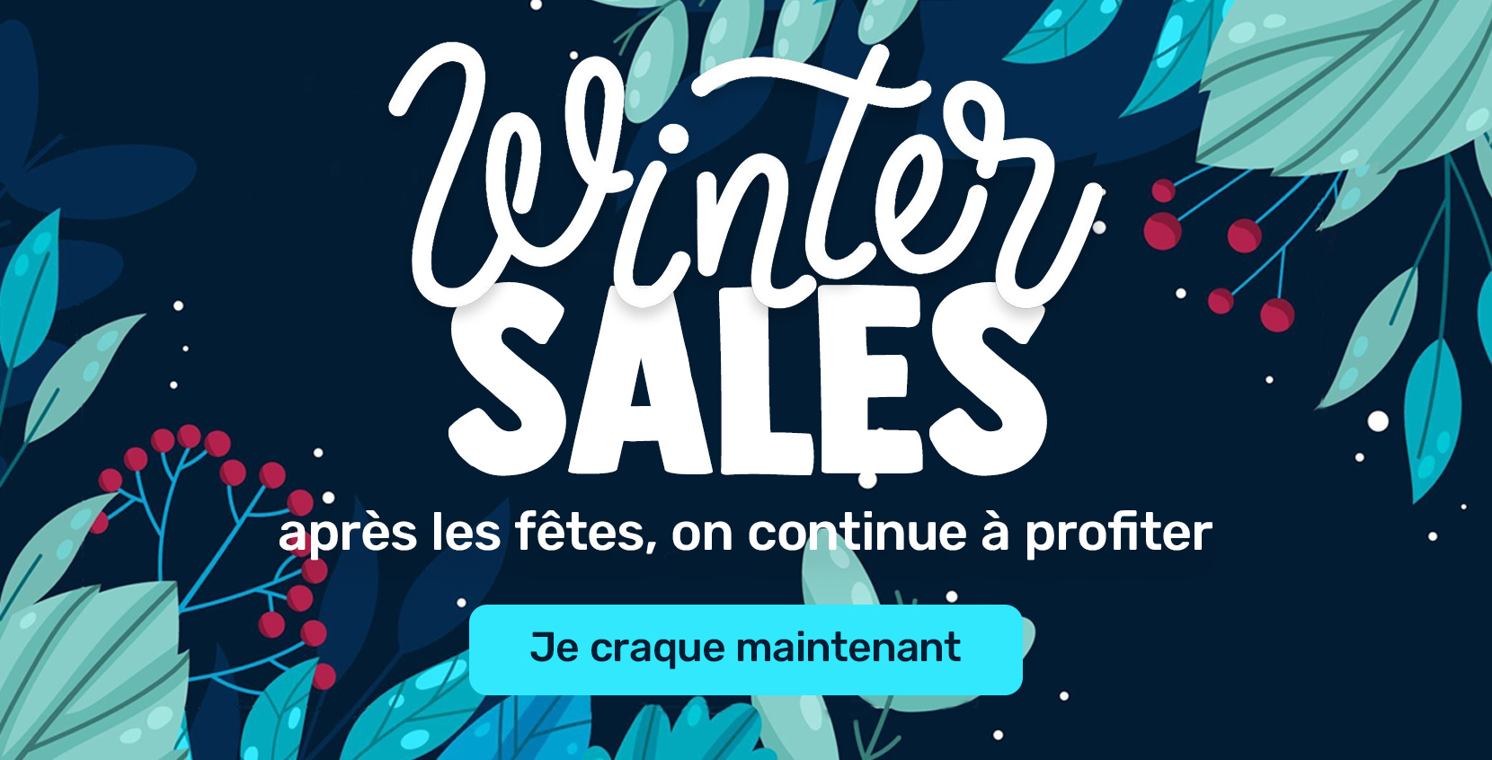 Winter Sales